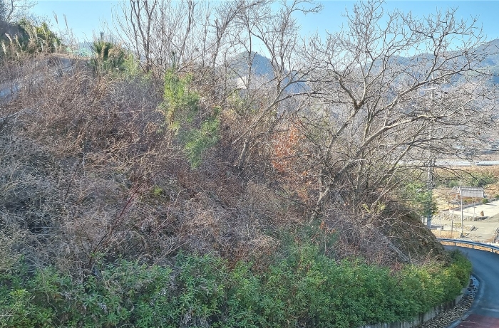 경상남도 하동군 적량면 동리 993-2 교육시설 경매 사진 4