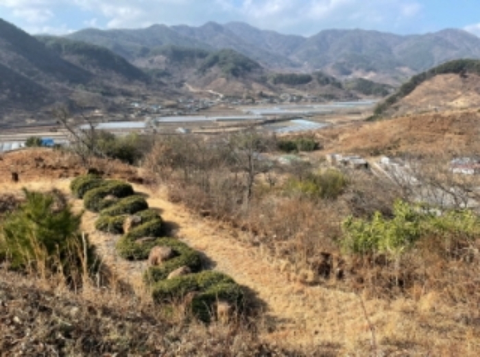 경상남도 하동군 적량면 동리 993-2 교육시설 경매 사진 41