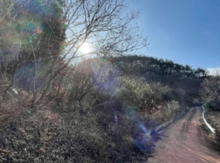 경상남도 하동군 적량면 동리 993-2 교육시설 경매 사진 48