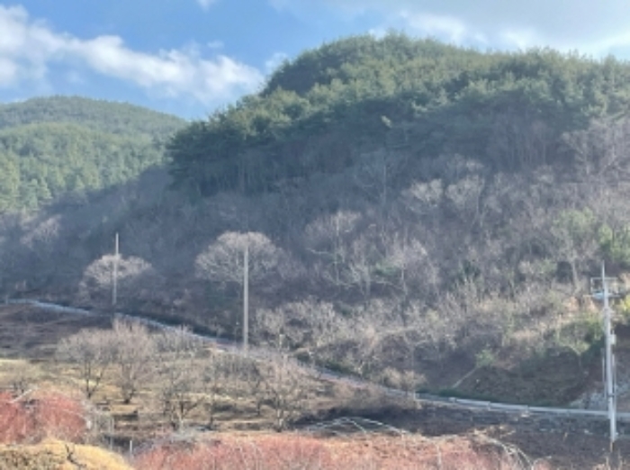 경상남도 하동군 적량면 동리 993-2 교육시설 경매 사진 52