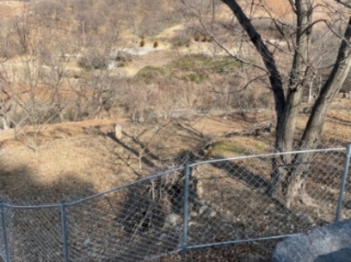 경상남도 하동군 적량면 동리 993-2 교육시설 경매 사진 53