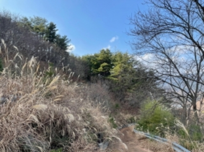 경상남도 하동군 적량면 동리 993-2 교육시설 경매 사진 57