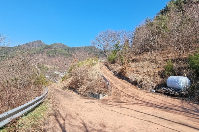 경상남도 하동군 적량면 동리 993-2 교육시설 경매 사진 7