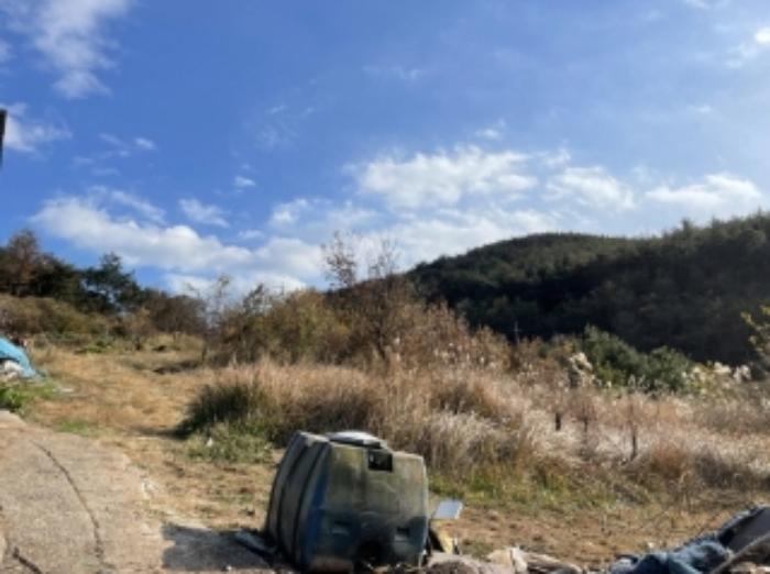 경상남도 남해군 삼동면 금송리 170 전 경매 사진 21