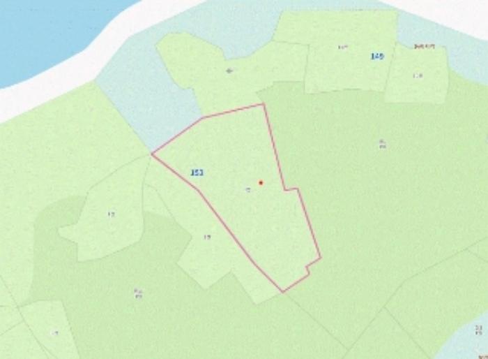 경상남도 남해군 삼동면 금송리 170 전 경매 사진 43