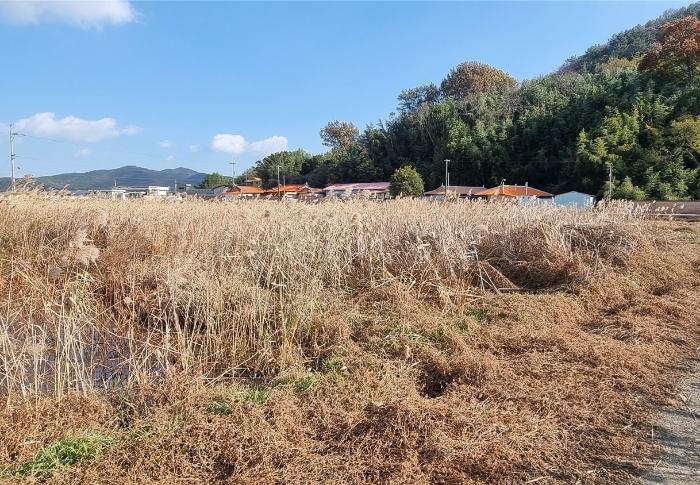 경상남도 남해군 삼동면 금송리 170 전 경매 사진 5