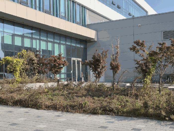 경기도 평택시 청북읍 율북리 1123 공장 경매 사진 6