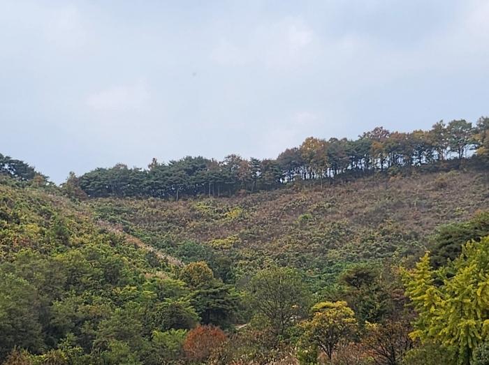 충청북도 제천시 금성면 월굴리 4 공장 경매 사진 1