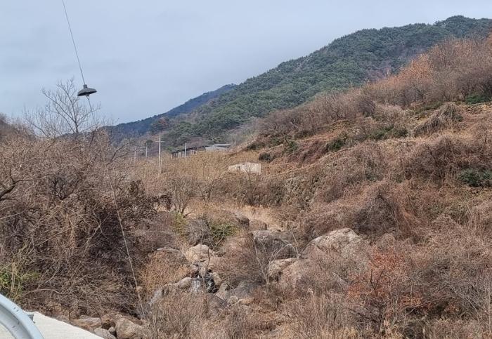 경상남도 하동군 화개면 부춘리 424-2 답 경매 사진 1