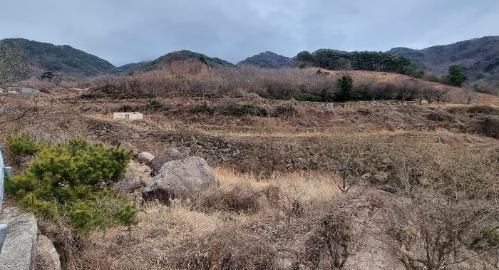 경남 하동군 화개면 부춘리 424-2 답 사진 2