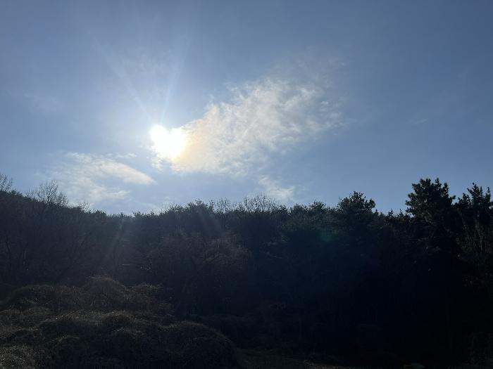 경남 남해군 남면 상가리 274 전 경매 물건 사진