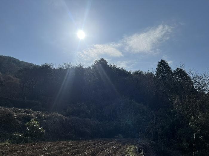 경남 남해군 남면 상가리 274 전 사진 4