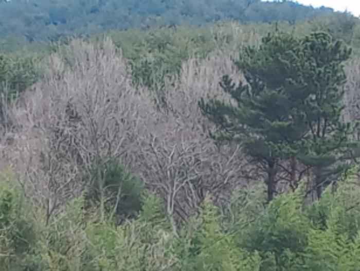 경남 남해군 남면 상가리 274 전 사진 6