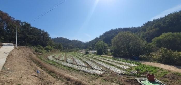 경상남도 함안군 대산면 부목리 180 전 경매 사진 19