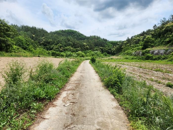 경남 함안군 대산면 부목리 180 전 사진 3