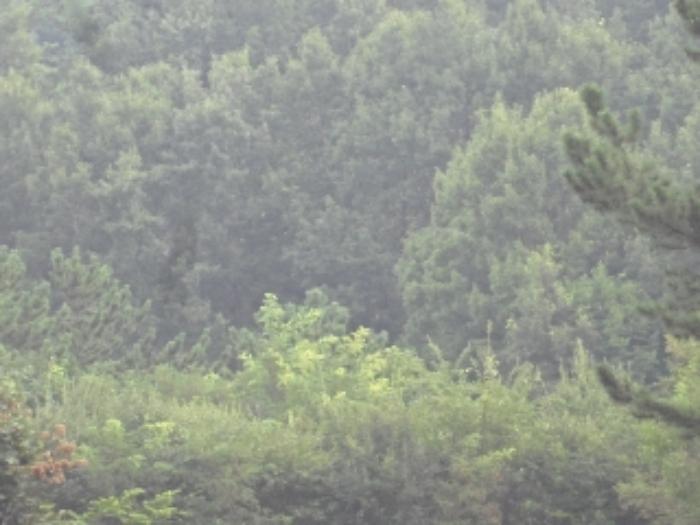 경상남도 창녕군 영산면 성내리 149 전 경매 사진 7