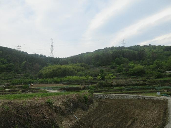 전남 여수시 상암동 1026 답 사진 2