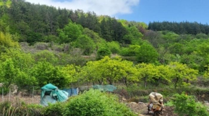 전남 여수시 상암동 1026 답 사진 4