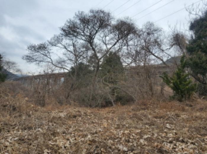 전라남도 순천시 주암면 행정리 370-1 임야 경매 사진 11
