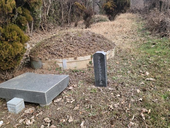 전라남도 순천시 주암면 행정리 370-1 임야 경매 사진 6
