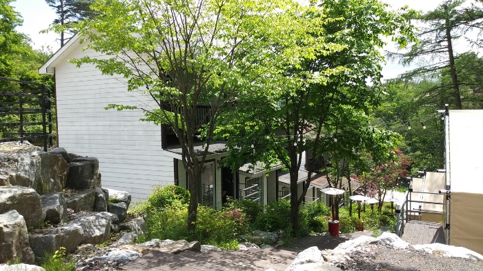 강원도 평창군 대관령면 차항리 109-18 대지 경매 사진 6