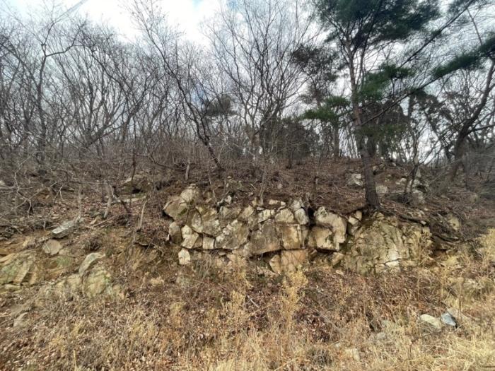 부산광역시 기장군 정관읍 달산리 산65 목장용지 경매 사진 3