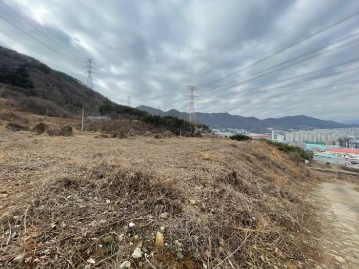 부산광역시 기장군 정관읍 달산리 산65 목장용지 경매 사진 4