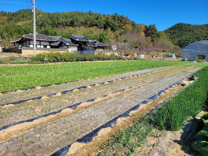 경상남도 창녕군 대합면 대동리 291 전 경매 사진 1