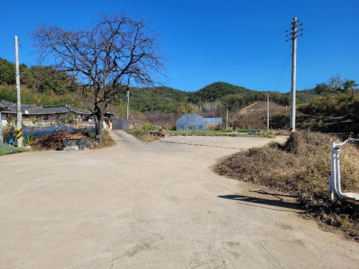 경상남도 창녕군 대합면 대동리 291 전 경매 사진 21