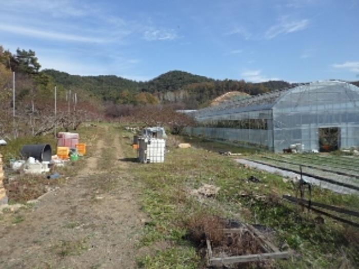 경상남도 창녕군 대합면 대동리 291 전 경매 사진 24
