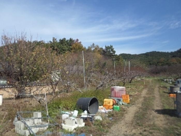 경상남도 창녕군 대합면 대동리 291 전 경매 사진 25