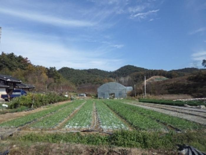경상남도 창녕군 대합면 대동리 291 전 경매 사진 27