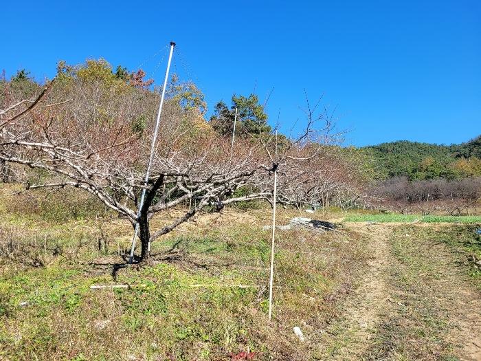 경상남도 창녕군 대합면 대동리 291 전 경매 사진 6