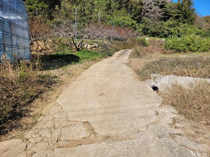 경상남도 창녕군 대합면 대동리 291 전 경매 사진 7