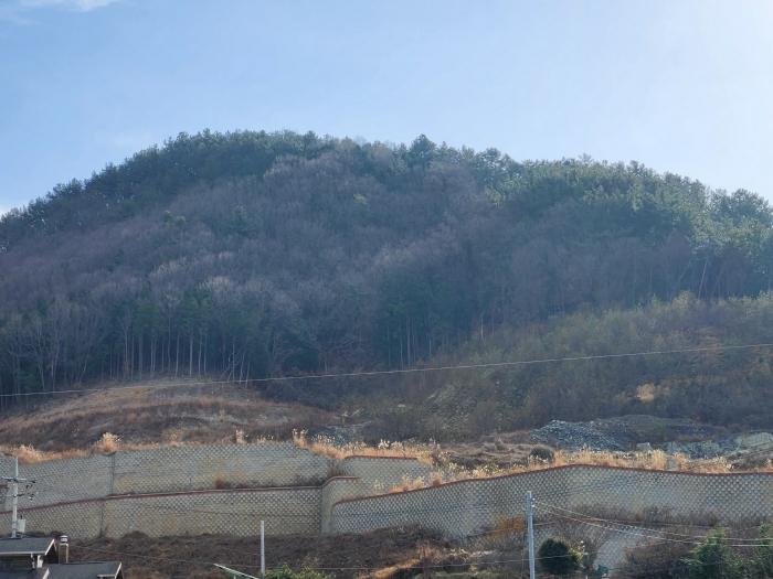 경상남도 사천시 임야