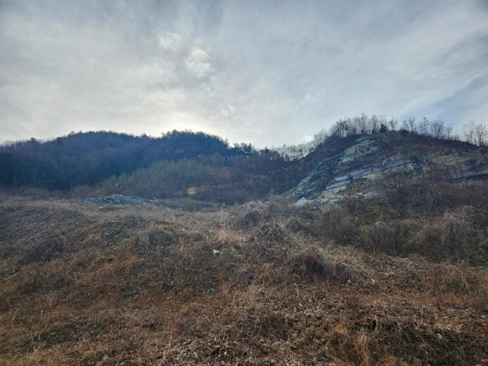 경상남도 사천시 실안동 산247-1 임야 경매 사진 2