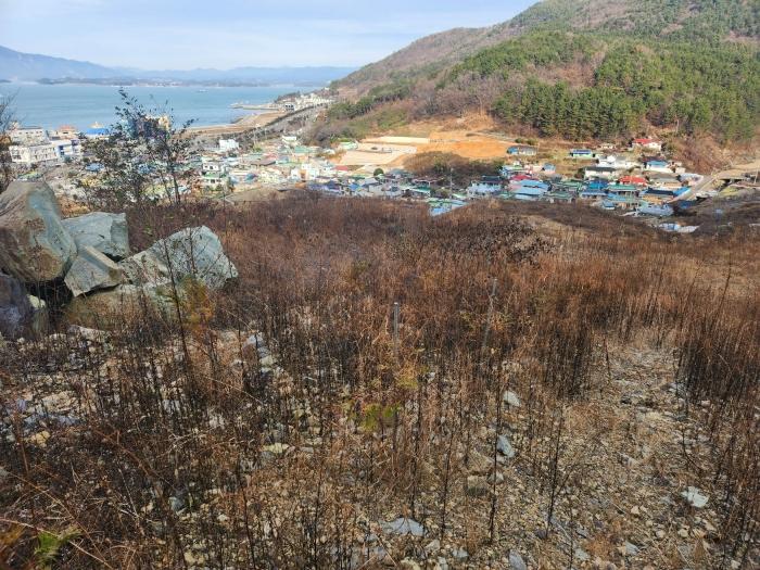 경상남도 사천시 실안동 산247-1 임야 경매 사진 4