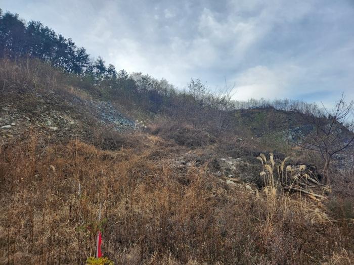 경상남도 사천시 실안동 산247-1 임야 경매 사진 6