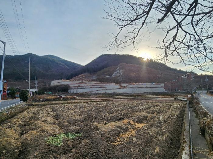 경상남도 사천시 실안동 산247-1 임야 경매 사진 7