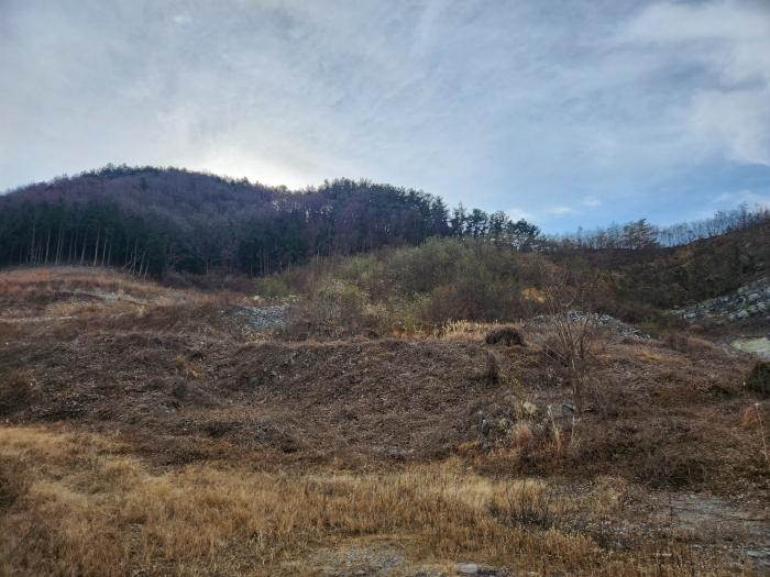 경상남도 사천시 실안동 산247-1 임야 경매 사진 8