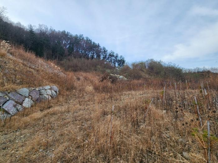 경상남도 사천시 실안동 산247-1 임야 경매 사진 9