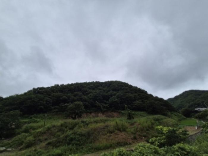 경상북도 경주시 황용동 107 전 경매 사진 11