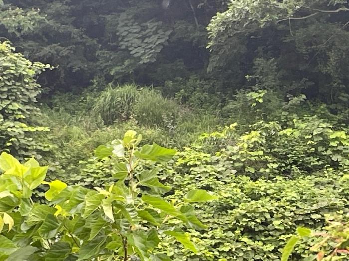 경상북도 경주시 황용동 107 전 경매 사진 5