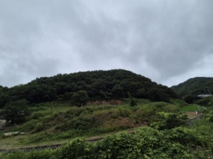 경상북도 경주시 황용동 107 전 경매 사진 9