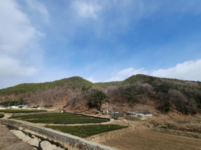 전남 광양시 임야