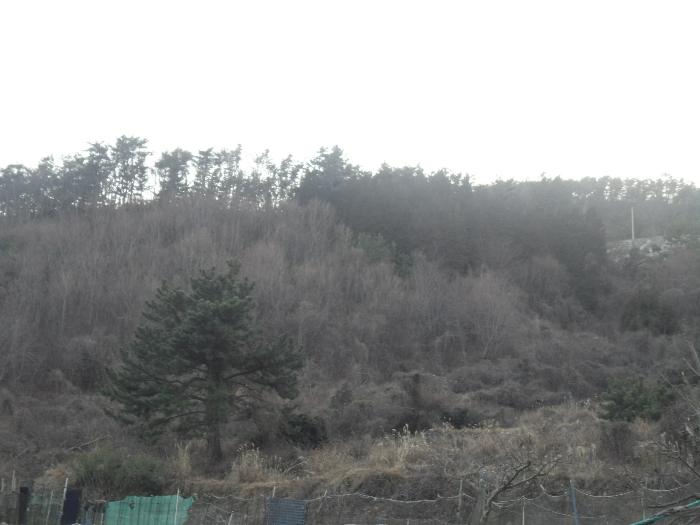 경남 거제시 옥포동 98-7 전 사진 3