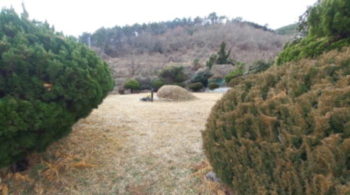 경남 거제시 옥포동 98-7 전 사진 6