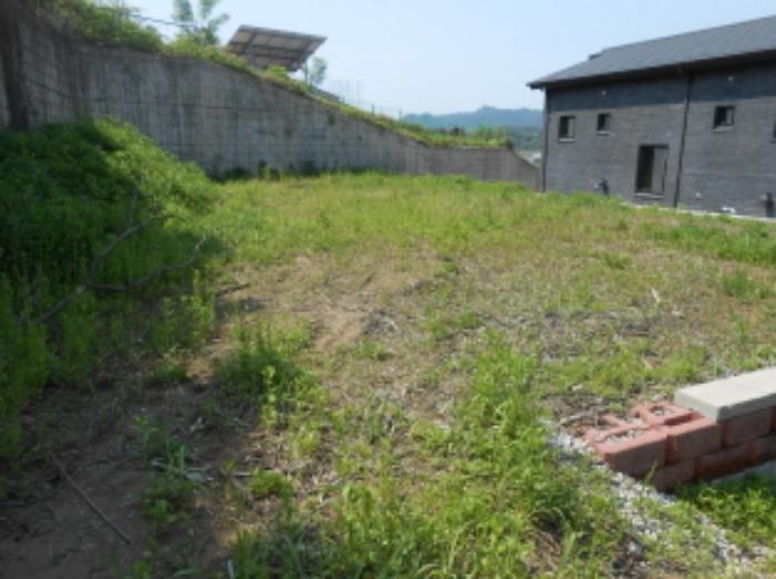 충청북도 청주시 상당구 가덕면 상대리 294-13 대지 경매 사진 9