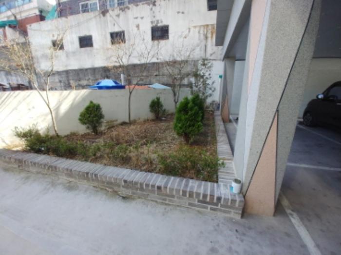 대전광역시 서구 변동중로 24-11구) 대전광역시 서구 도마동 17-42 근린주택 경매 사진 24