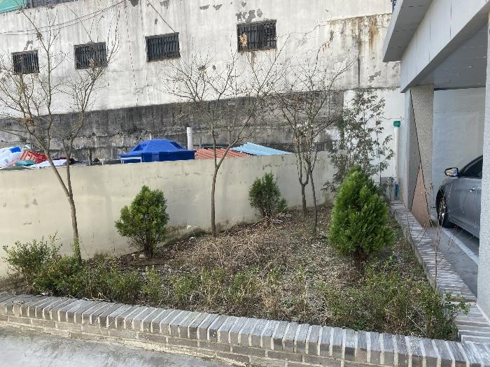 대전광역시 서구 변동중로 24-11구) 대전광역시 서구 도마동 17-42 근린주택 경매 사진 8